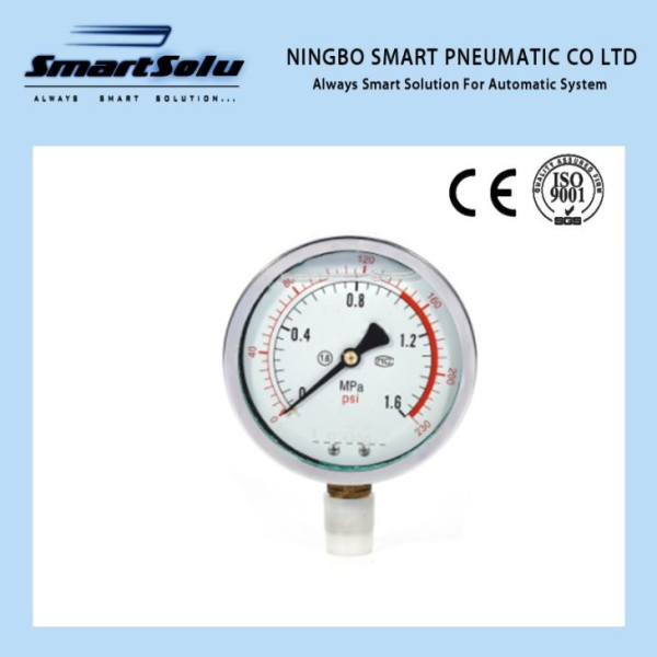 عمدہ کمپن اور شاک مزاحمت زلزلہ دباؤ گیج